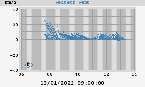 Wind Vector